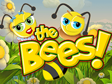The Bees – игровой автомат онлайн от BetSoft