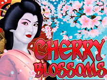 Онлайн-автомат в Вулкан-казино Cherry Blossoms